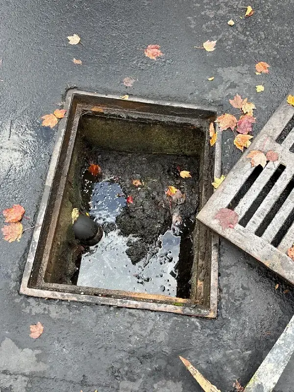 Open catch basin in a parking lot with fallen leaves, sediment, and standing water before cleaning